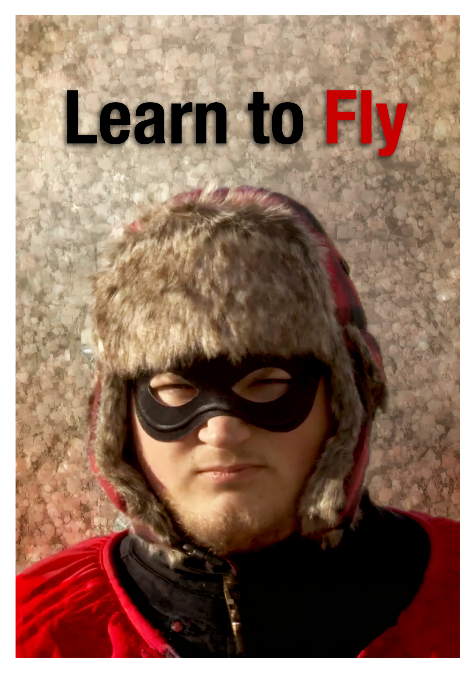 fly